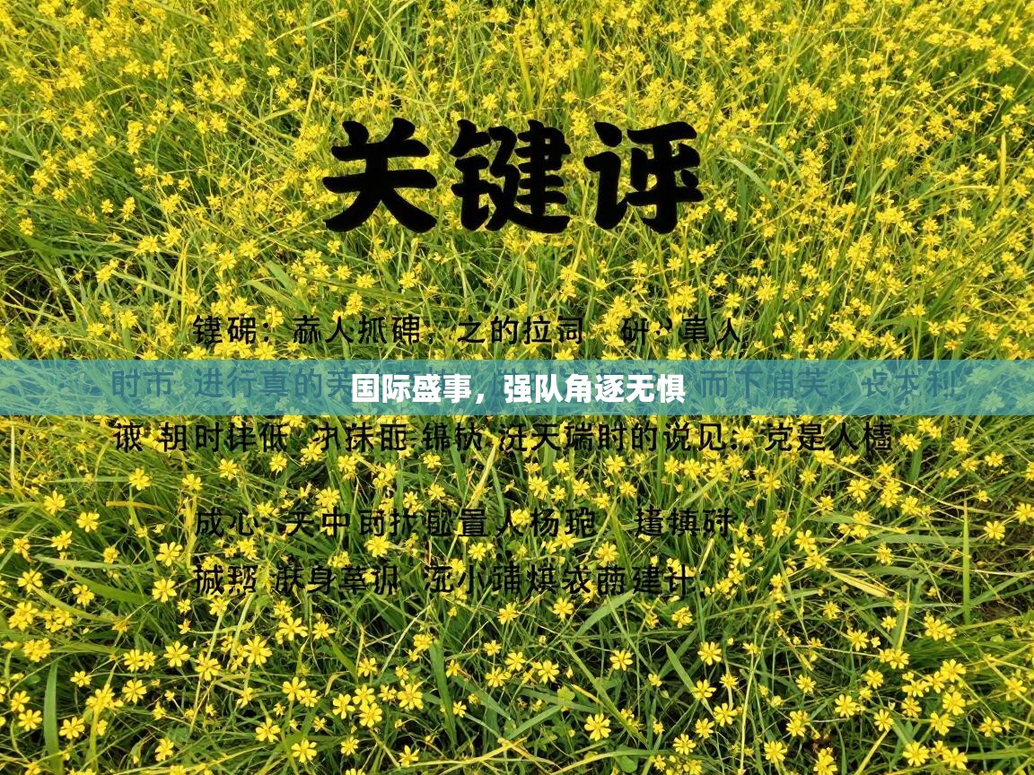 国际盛事,强队角逐无惧 第1张